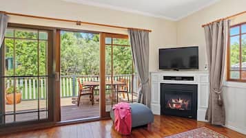 Smart TV, fireplace, DVD player, books