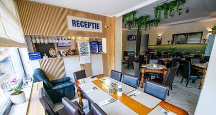 Casa Domneasca Riana