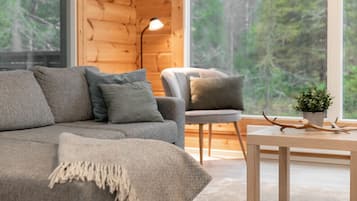 Een televisie en een open haard