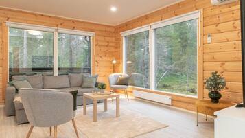 Een televisie en een open haard