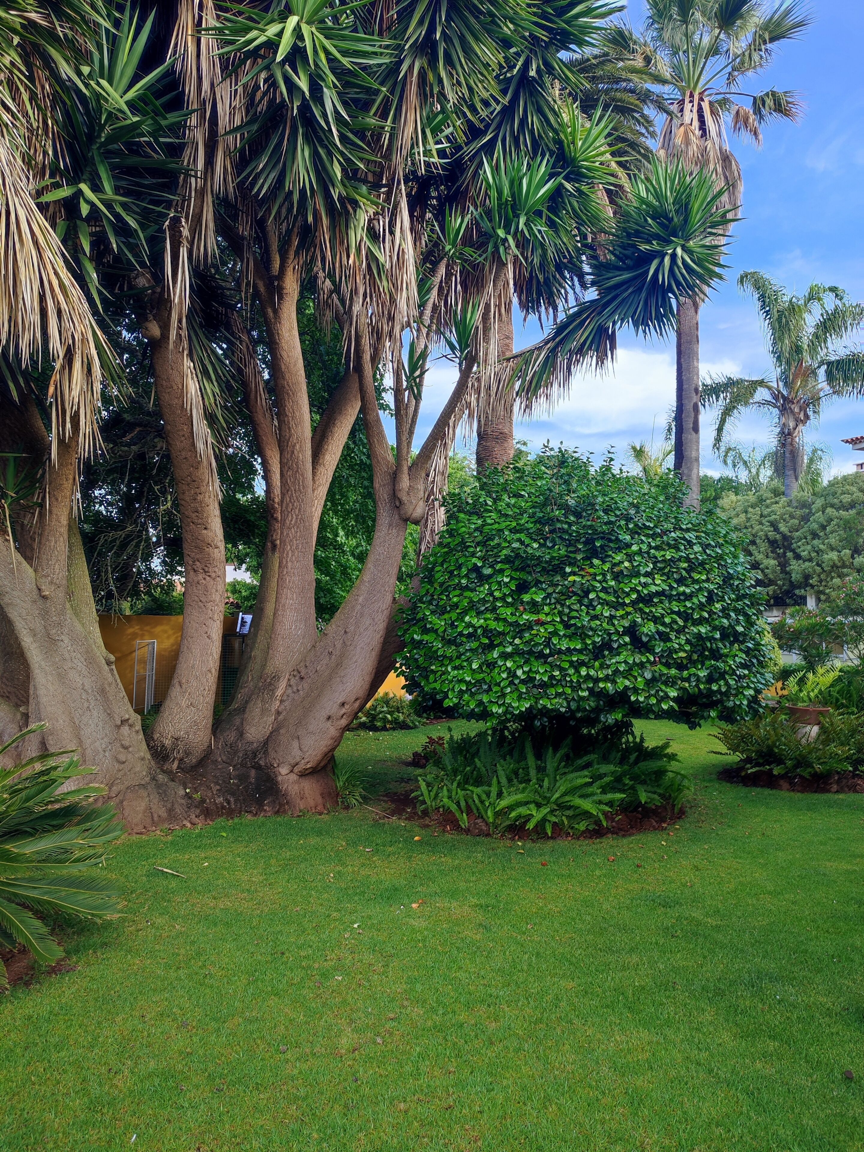 Overnattingsstedets uteområder