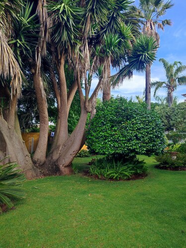 El Trazo, perfect to disconnect.