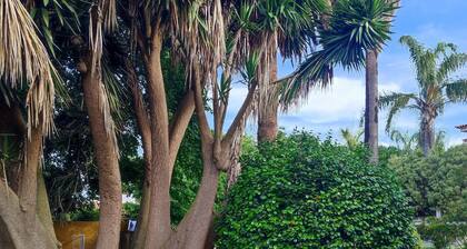 El Trazo, perfect to disconnect.