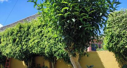 El Trazo, perfecta para desconectar.