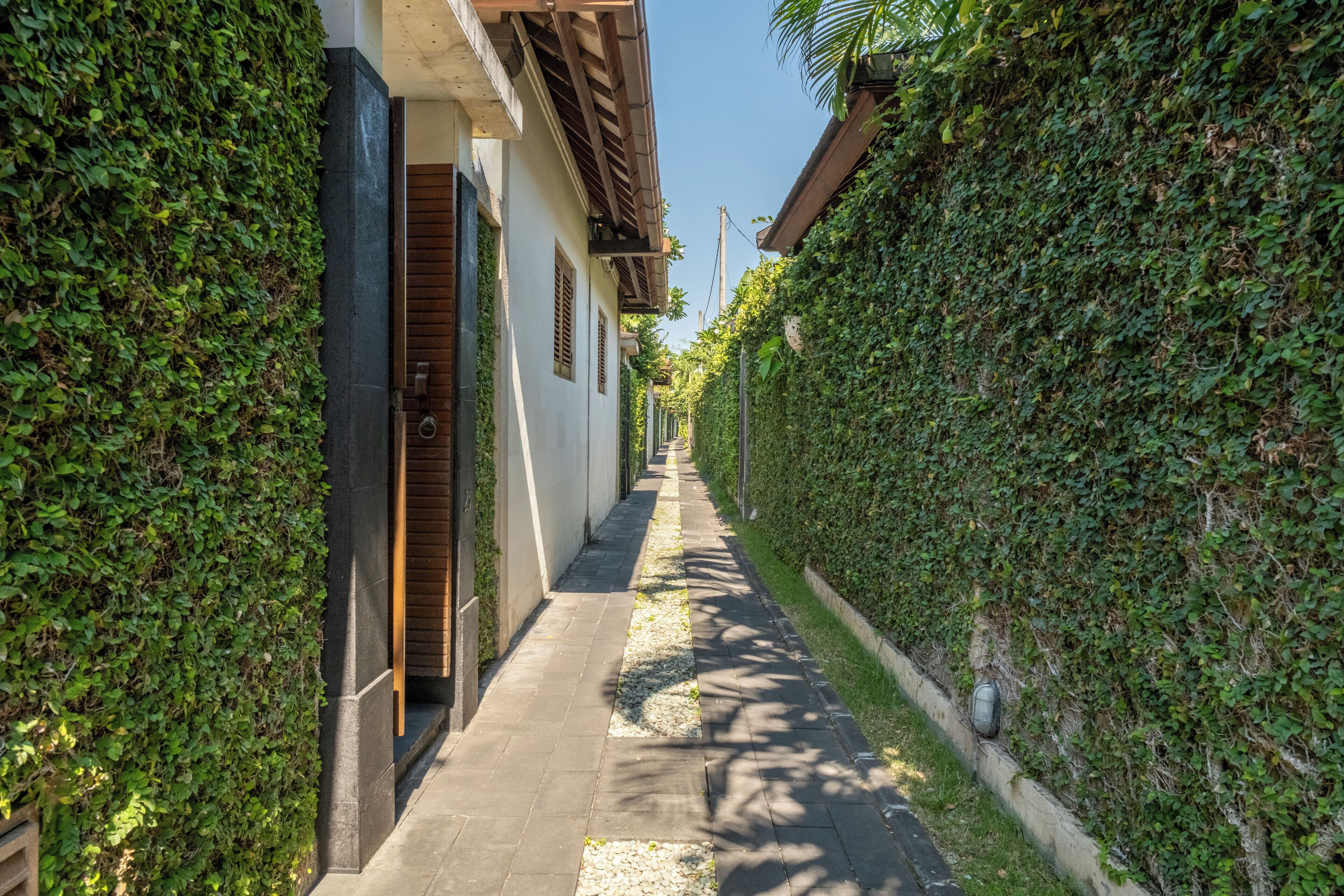 A narrow alleyway flanked by lush green walls, leading to a building with a wooden door and a small window.