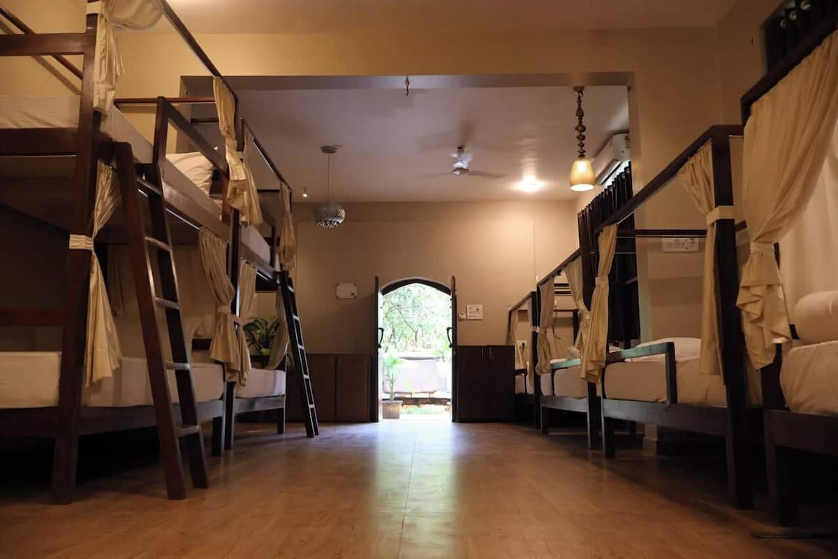 A room with bunk beds, a ladder, and a ceiling fan.