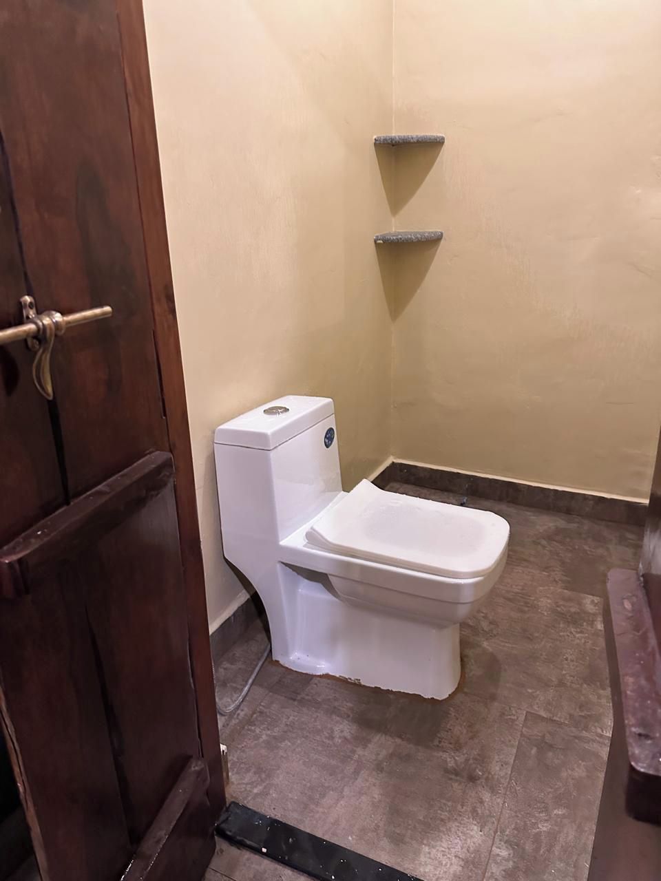 A bathroom with a toilet, a wooden door, and a tiled floor.