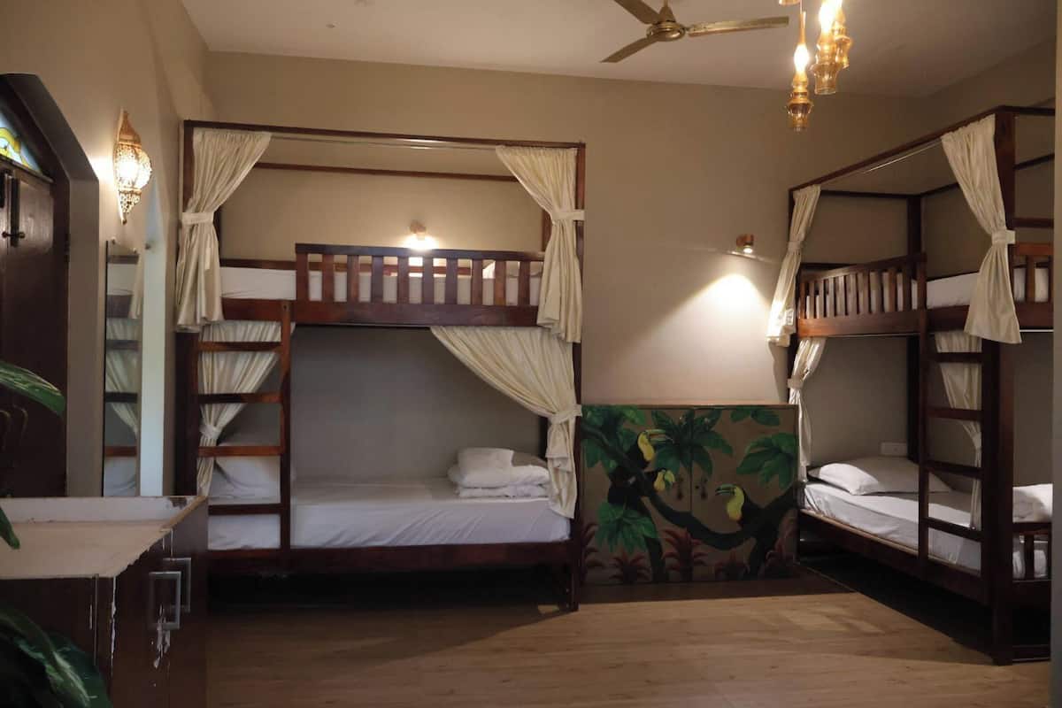 A room with bunk beds, a ceiling fan, and a mural of a jungle scene.