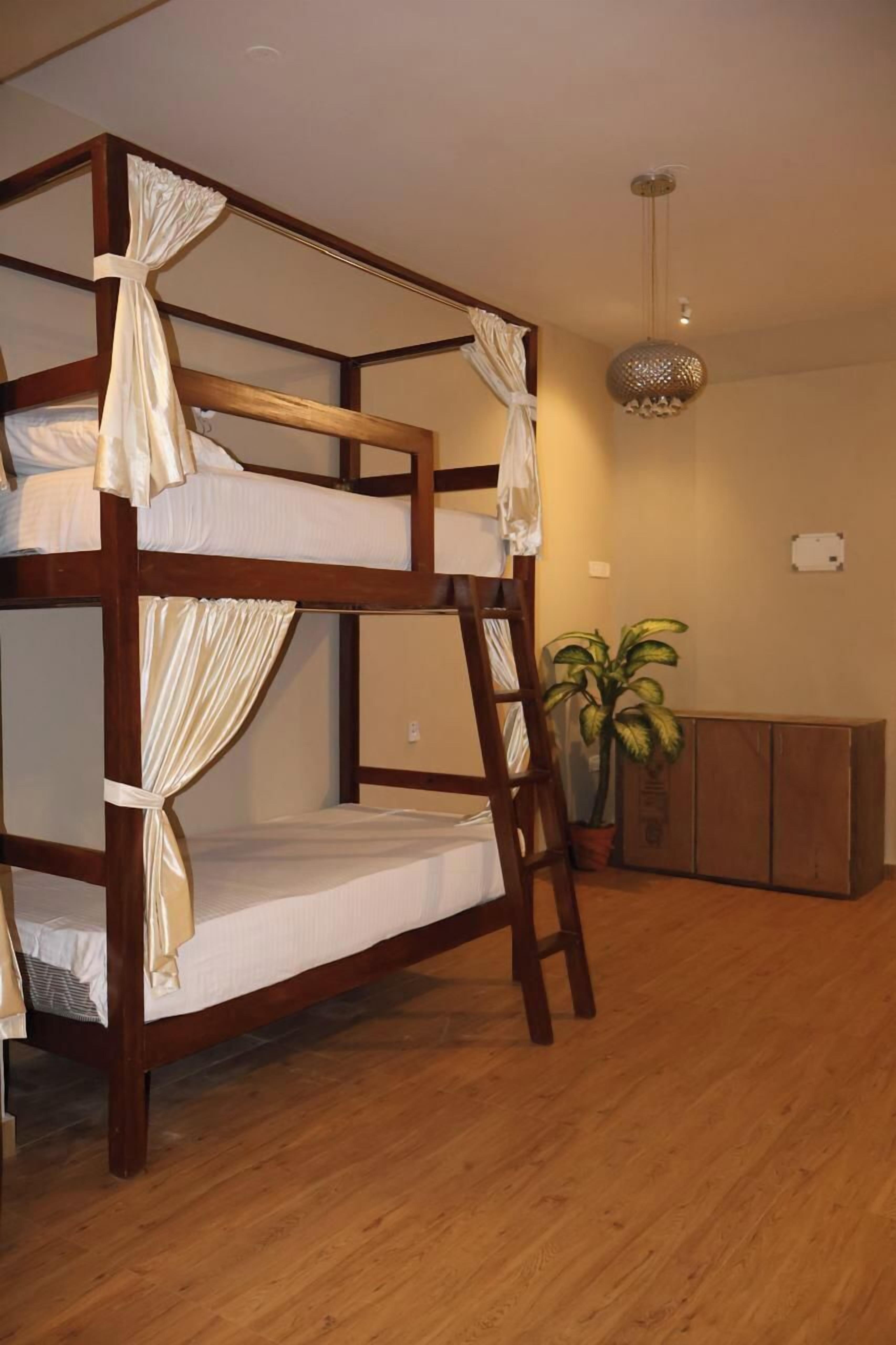 A bunk bed with curtains, a ladder, a potted plant, and a pendant light in a room with wooden flooring and a bench.