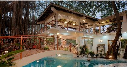 Vibes Inn Singing Tree