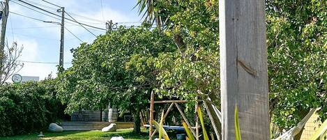 Taman