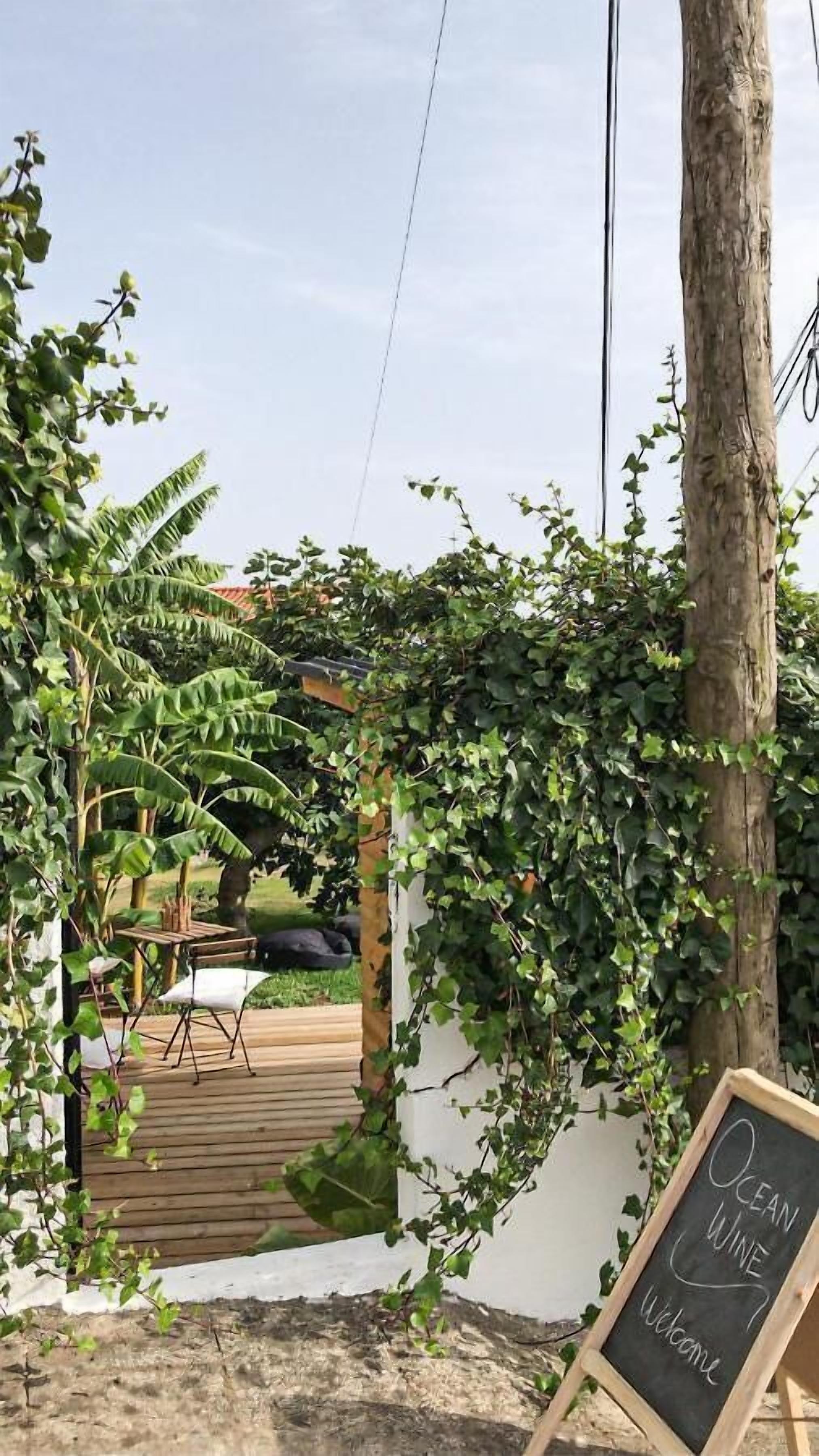 Jardín