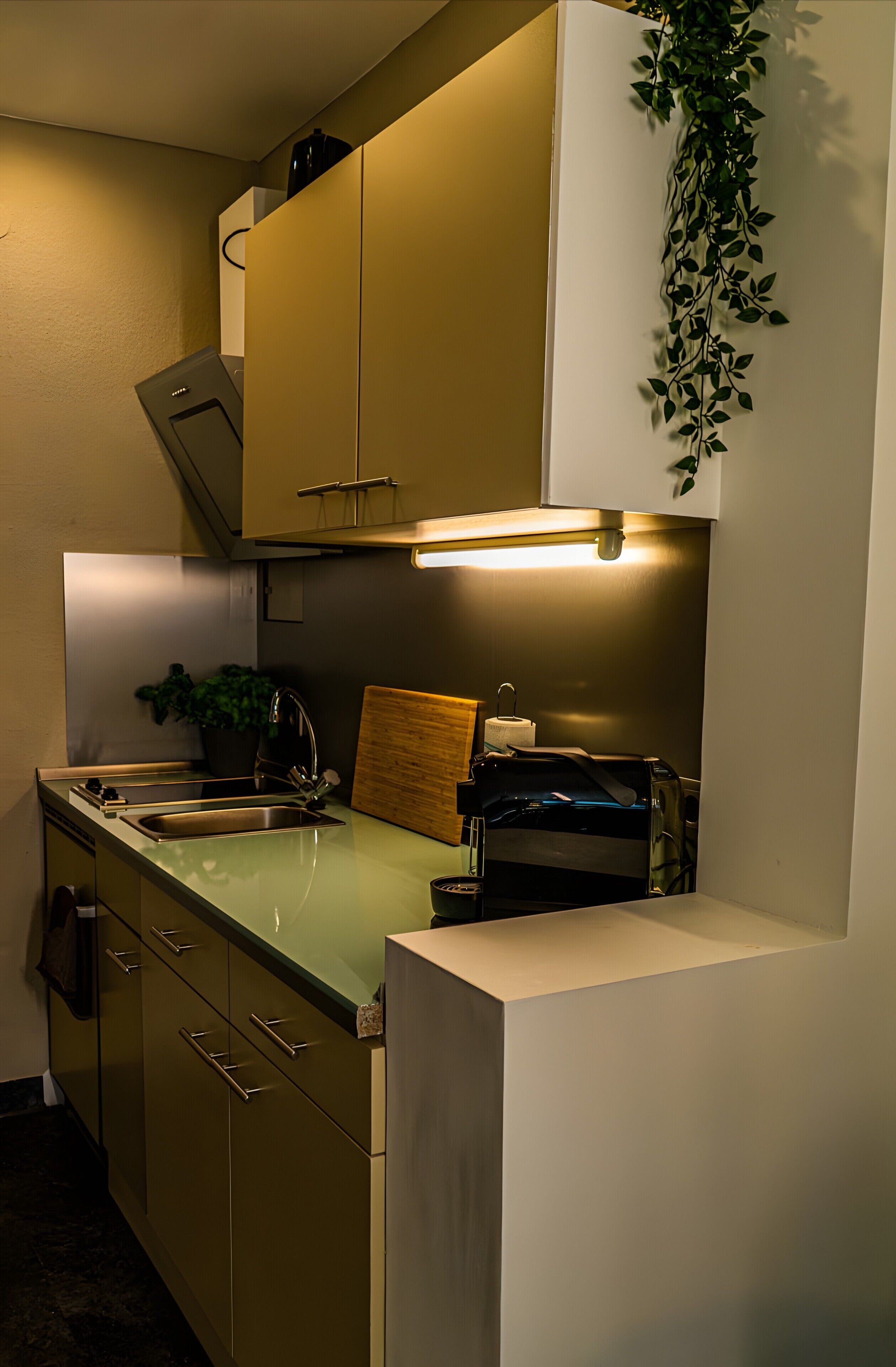 Réfrigérateur, four, plaque de cuisson, cafetière/bouilloire