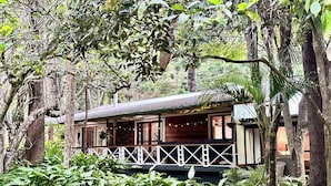 A wooden cabin with a balcony, surrounded by dense foliage and trees. - Christmas Creek Rainforest Retreat, ultimate nature filled group getaway. (Lamington)