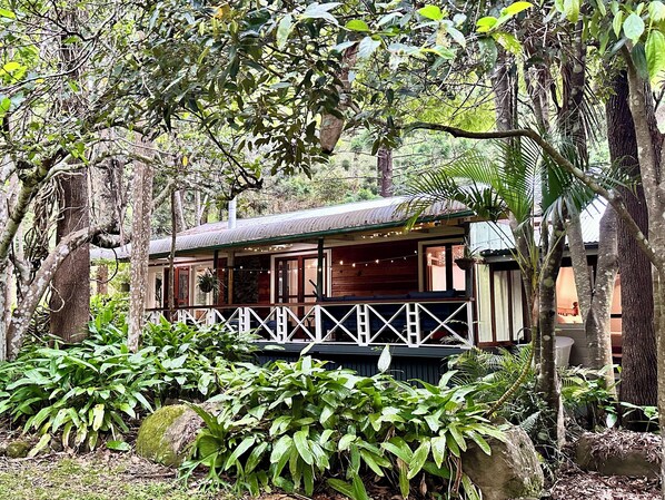 Exterior - Creekside Rainforest Retreat, perfect for groups seeking a nature getaway. (Lamington)