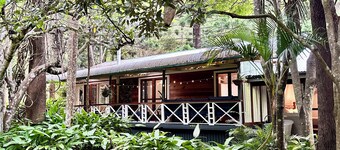 Creekside Rainforest Retreat, perfect for groups seeking a nature getaway.