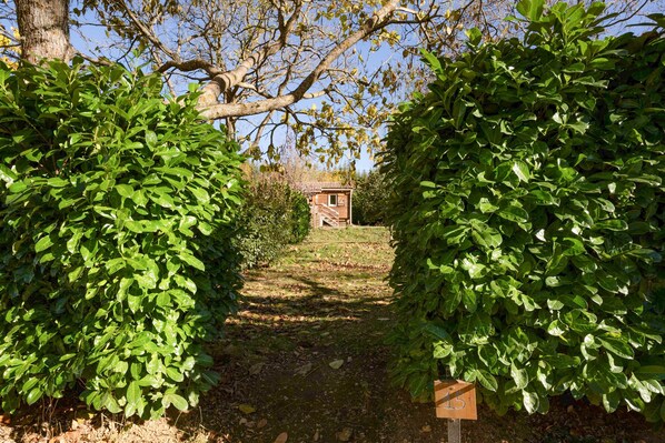 A pathway leading to a rustic building surrounded by dense foliage.