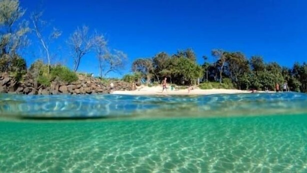 A beach with clear water, trees, and a sandy shore. - "Bills Place" @ Brunswick - House - Sleeps 8 - Walk to Beach, Creek & Main Town (Brunswick Heads)