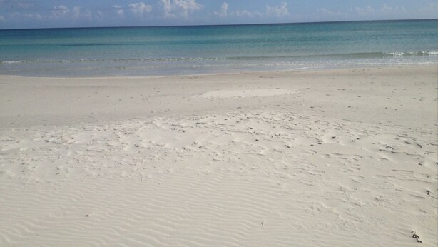 A wide sandy beach with gentle waves and a clear sky. - Three-room apartment Oleander 300 mt beach San Teodoro (San Teodoro)