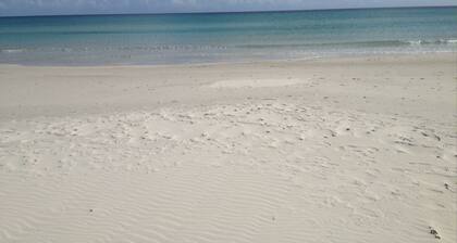 Three-room apartment Oleander 300 mt beach San Teodoro