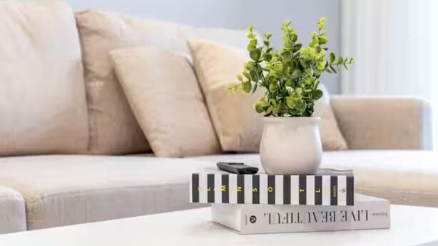 Uma estante com livros e um pequeno vaso de planta sobre uma mesa branca numa sala de estar com sofá bege.