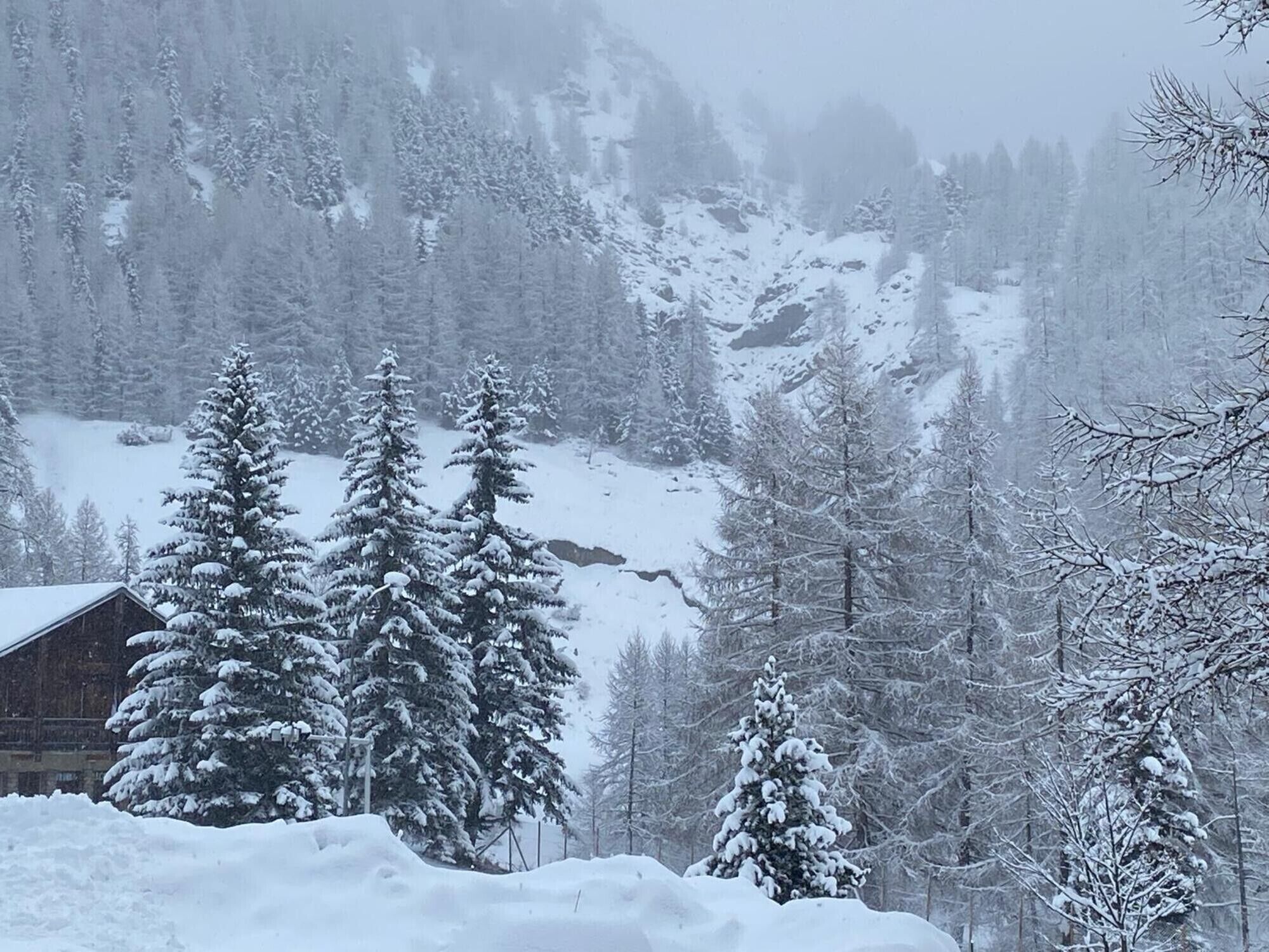 A snow-covered landscape with a cabin and trees.