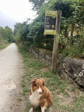 Property grounds - The Casita na Vila your best Bed & Breakfast in northern Portugal. (Viana do Castelo)