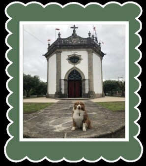 Point of interest - The Casita na Vila your best Bed & Breakfast in northern Portugal. (Viana do Castelo)