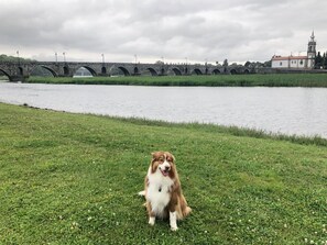 Pet-friendly - The Casita na Vila your best Bed & Breakfast in northern Portugal. (Viana do Castelo)