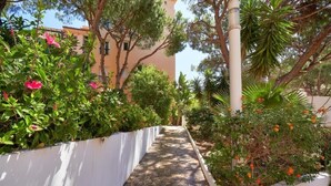 A pathway flanked by white walls and lush greenery, leading to a building with a tiled roof. - Beach and Golf Design Apartment Marbella (Marbella)