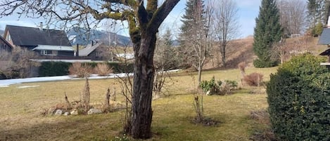 Lägenhet Comfort - 1 sovrum - husdjur tillåtna - utsikt mot trädgården | Utsikt mot trädgården