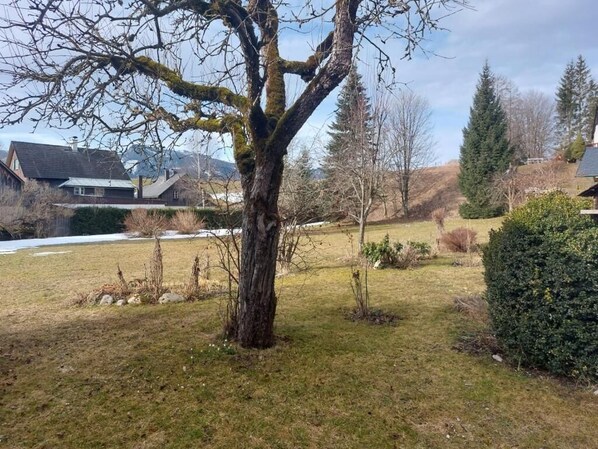 Comfort-Apartment, 1 Schlafzimmer, Haustiere gestattet, Gartenblick | Blick auf den Garten