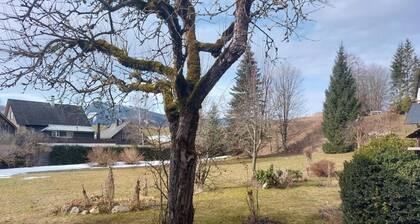 Ferienwohnung Salzafeld