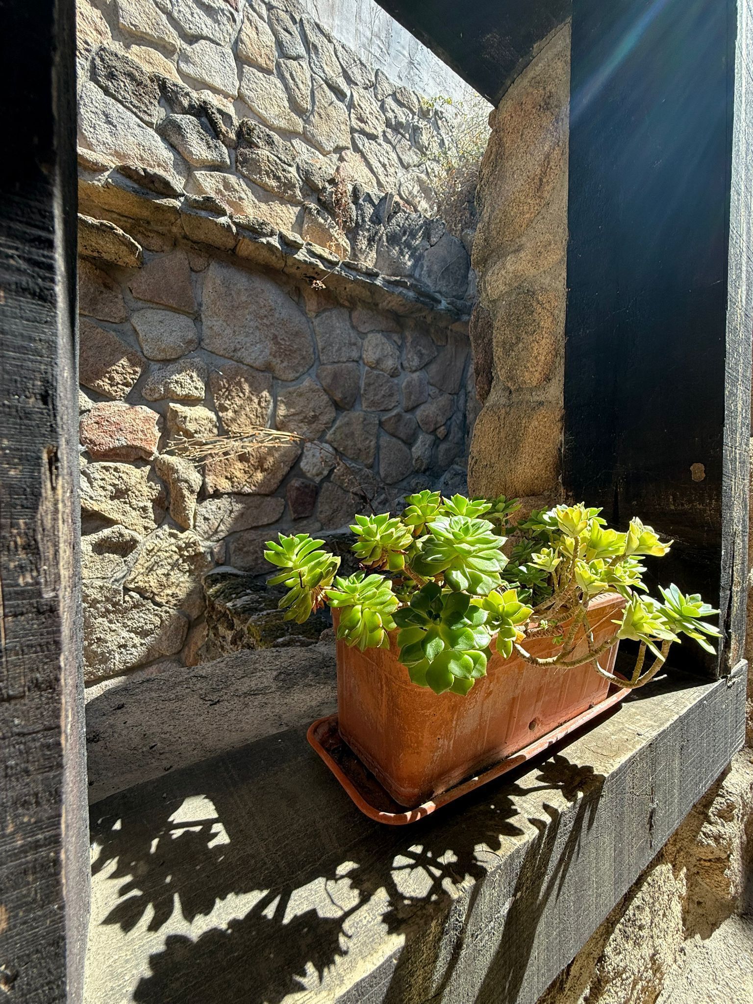 Détail de l’extérieur