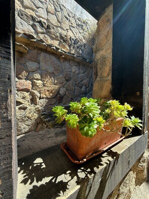 Detalle del exterior