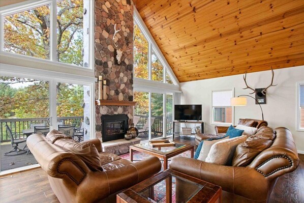 TV, fireplace, video games