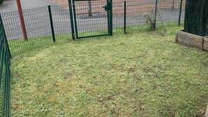 A fenced outdoor area with grass and a gate. - Charming Cottage - Near Beach and Shops (Fort-Mahon-Plage)
