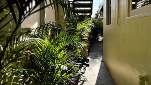 A narrow corridor with a wooden pergola and lush green plants.
