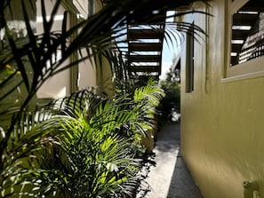 Overnattingsstedets uteområder