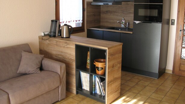 A compact living space with a kitchenette, a sofa, and a small bookshelf.