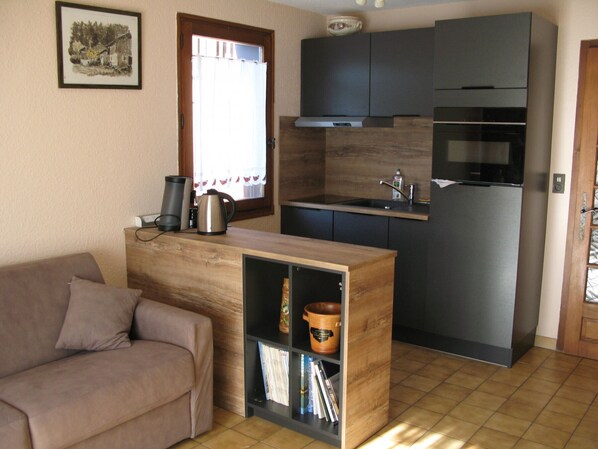 Un espace de vie compact comprenant un coin cuisine, un canapé et une petite bibliothèque.