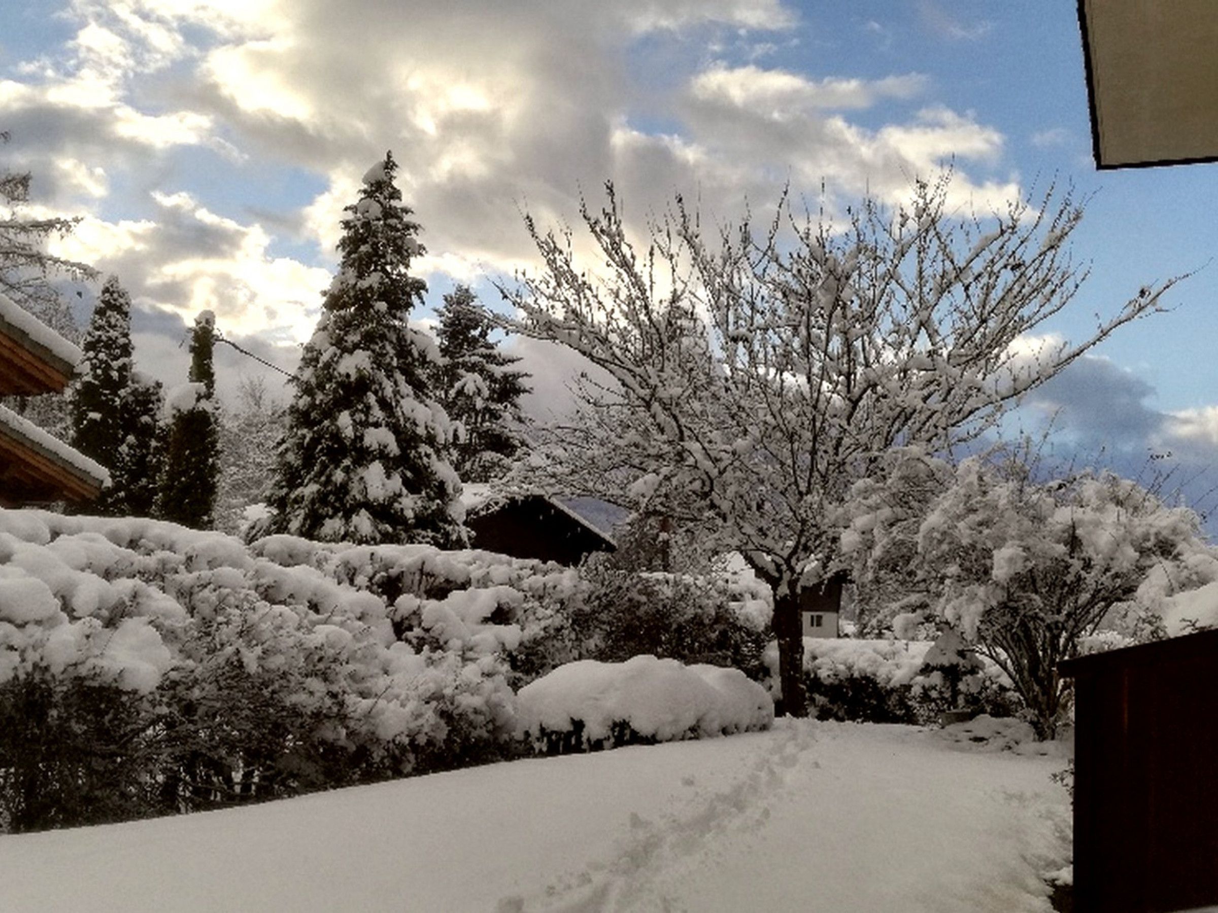Un paysage enneigé avec une maison, des arbres couverts de neige et un ciel dégagé.