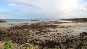 Ein felsiger Strand mit blauem Himmel.
