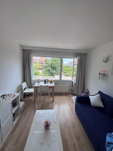 Studio Blueberry lumineux