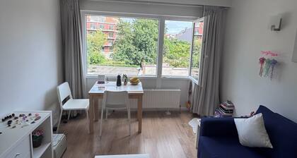 Studio Blueberry lumineux