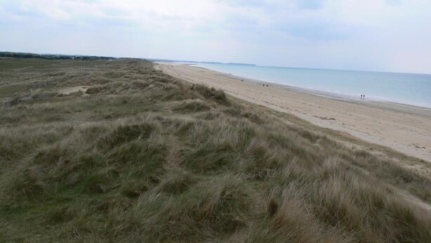 Une plage avec des dunes herbeuses et une rive sablonneuse.