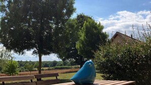 Una mesa de picnic de madera con un objeto azul encima, rodeada de árboles y un edificio al fondo.