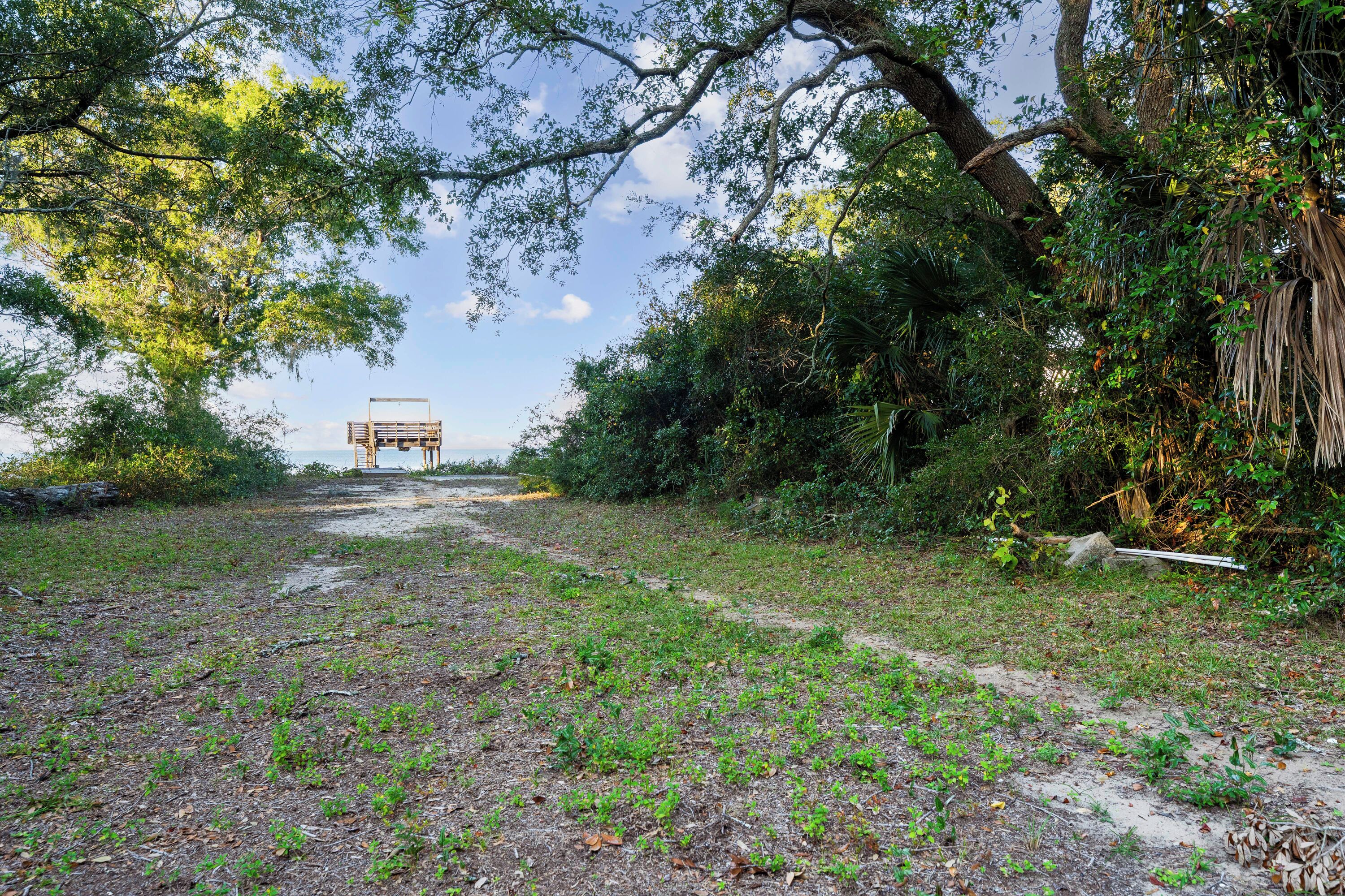 A pathway leading to a structure surrounded by dense vegetation.