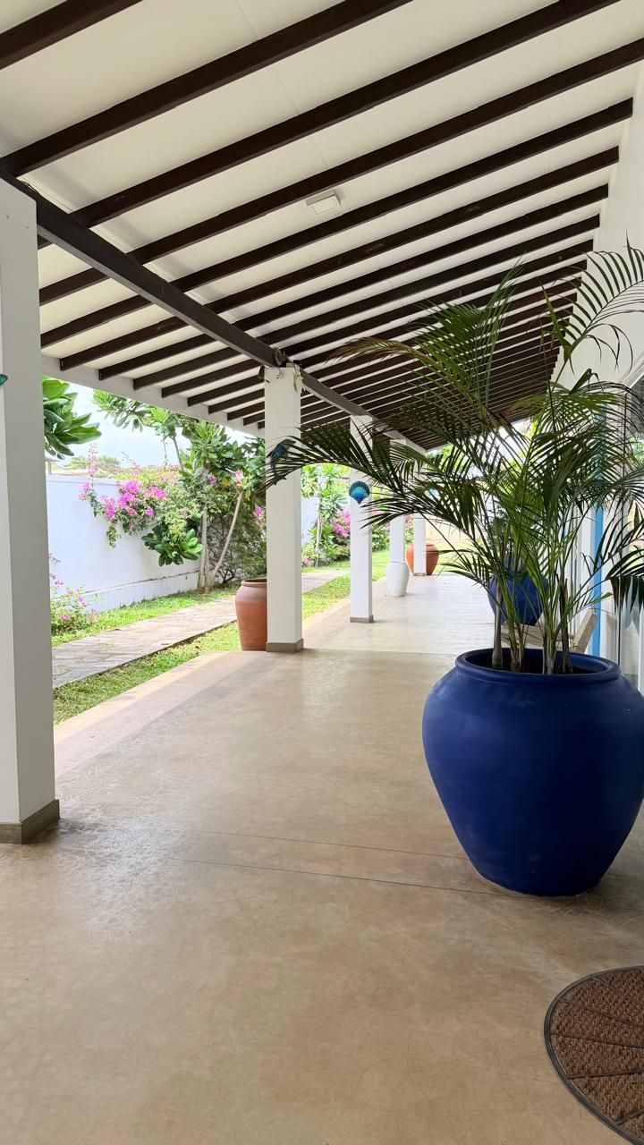 A covered outdoor area with a concrete floor, potted plants, and a view of a garden with pink flowers.