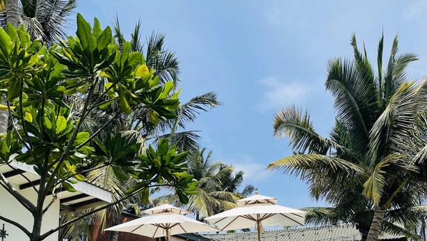 A resort with outdoor seating, palm trees, and a stone wall.